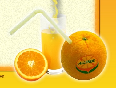 Concentrado de frutas - Juguera Allende
